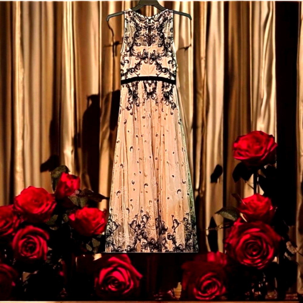 Adrianna Papell Dress 6